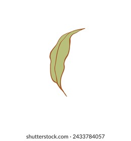 Luxury flower and logo colorful hand drawn. Trendy botanical element. Hand drawn line leave branch and blooming. Wedding elegant wildflower for invitation save the date card. Vector illustration