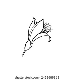 Luxury flower and logo. Trendy botanical element. Hand drawn line leave branch and blooming. Wedding elegant wildflower for invitation save the date card. Vector illustration on white background