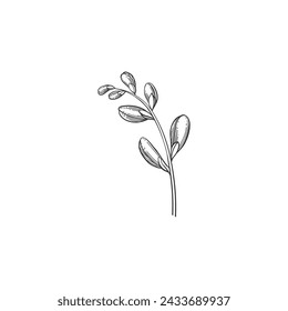 Luxury flower and logo. Trendy botanical element. Hand drawn line leave branch and blooming. Wedding elegant wildflower for invitation save the date card. Vector illustration on white background