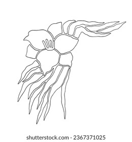 Luxury flower for trendy backgrounds and patterns of wrapping paper, fabrics, wallpapers black and white vector outline on a white background