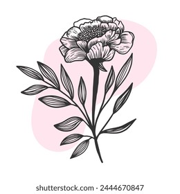 luxury flowers and logo. Trendy botanical elements. Hand drawn line leaves branches and blooming. Wedding elegant wildflowers for invitation save the date card. Vector
