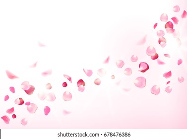 Luxury fresh rose petals are falling in the air on white romantic vector card. Wedding celebration design. Stylish fashion pink backdrop. Saint Valentines template. All elements are isolated 