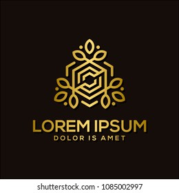 luxury gem logo template vector illustration 