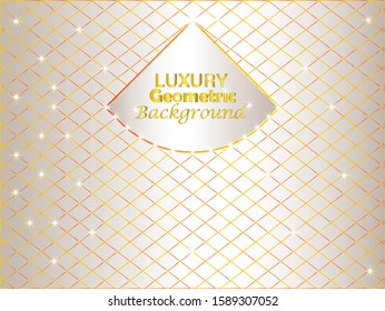 Luxury Geometric Background Design Vector
