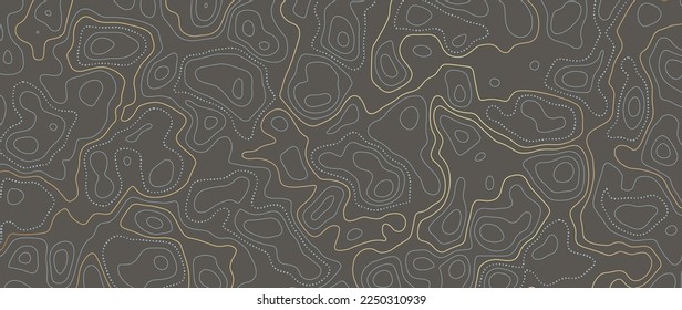 Luxury gold abstract line art background vector. Mountain topographic terrain map background with gold lines texture. Design illustration for wall art, fabric, packaging, web, banner, app, wallpaper.
