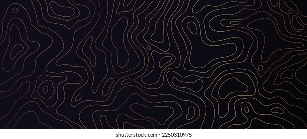 Luxury gold abstract line art background vector. Mountain topographic terrain map background with gold lines texture. Design illustration for wall art, fabric, packaging, web, banner, app, wallpaper.