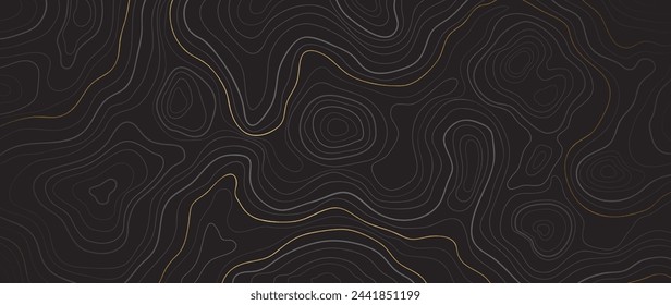 Vector de fondo de arte de línea abstracta de oro de lujo. Fondo de mapa topográfico de montaña con textura de líneas doradas. Ilustración de diseño para arte de pared, tela, embalaje, web, banner, aplicación, papel pintado.