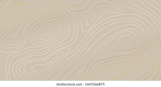 Luxury gold abstract topographic map background with golden lines  texture, 17:9 wallpaper design for fabric , packaging , web, geographic grid map vector illustration.