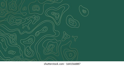 Luxury gold abstract topographic map background with golden lines  texture, 17:9 wallpaper design for fabric , packaging , web, geographic grid map vector illustration.