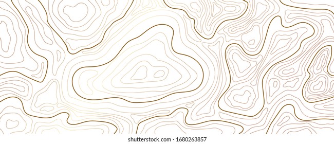 Luxury Gold Abstract Topographic Map Background With Golden Lines  Texture, 17:9 Wallpaper Design For Fabric , Packaging , Web, Geographic Grid Map Vector Illustration.