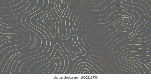 Luxury gold abstract topographic map texture on gray background. Golden lines waves topographical design for fabric , packaging.