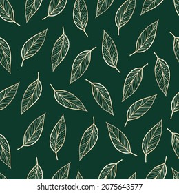 Luxury gold background pattern vector. Gold line art leaves on a dark background. Vector illustration