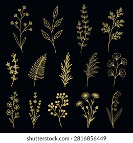 Luxury gold botanical wildflower vector bundle on black background with floral elements