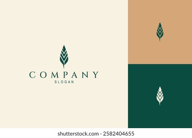 luxury gold feather logo in flat design style