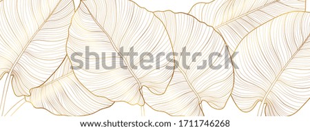 Similar – Image, Stock Photo Background withMonstera leaves on a light green background