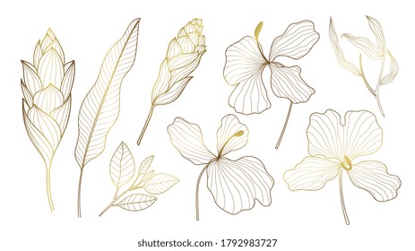 Luxury Gold Tropical collection with exotic flowers and leaves. Vector design isolated elements on the white background.