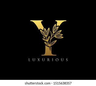 Luxury Gold Y Letter Logo Icon . Initial Letter Y Design Vector Luxury Gold Color.Print monogram initials stamp line art vintage symbol.