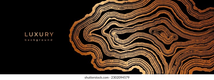 Luxury golden background with wood annual rings texture. Banner with shiny tree ring pattern. Stamp of tree trunk in section. Natural wooden concentric circles. Black and bronze gold background