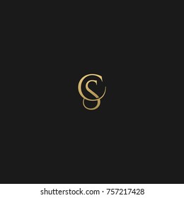 Luxury Golden and Black Color initial based CS logo
