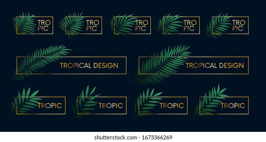 Luxury golden frames with tropical plants and palm branches, vector elements with place for text