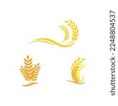 Luxury Golden Grain Weath  Rice Logo Design Vector