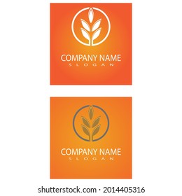 Luxury Golden Grain Weath  Rice Logo Design Vector