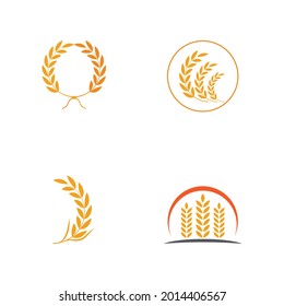 Luxury Golden Grain Weath  Rice Logo Design Vector