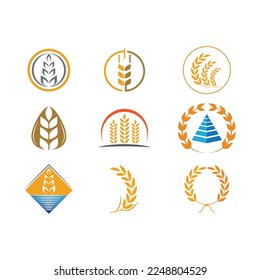 Luxury Golden Grain Weath  Rice Logo Design Vector