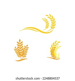Luxury Golden Grain Weath  Rice Logo Design Vector