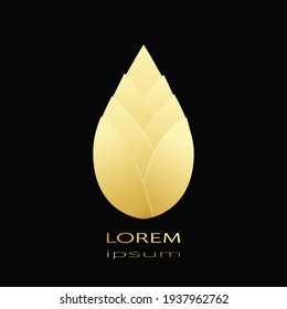 Luxury golden lotus pattern design for logo, label, icon ,brand for your product or packaging, vector illustration