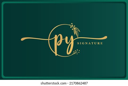 Luxury golden Signature Initial PY Logo Design isolated dark background. Handwriting Vector Logo Design Illustration Image
