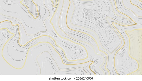 Lujoso mapa topográfico dorado de fondo con línea brillante de oro y plata en fondo gris.Diseño abstracto topográfico para web, fondos, papel pintado, empaque, ropa. Patrón de líneas de vector