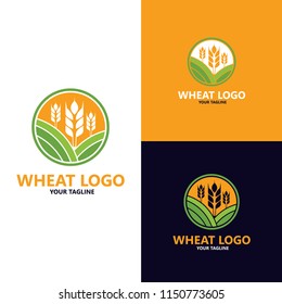 luxury grain, Agriculture wheat grain Logo Template vector icon design
