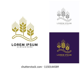 Luxury Grain wheat logo concept, Agriculture wheat Logo Template vector icon