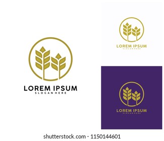 Luxury Grain wheat logo concept, Agriculture wheat Logo Template vector icon
