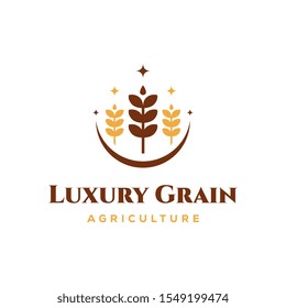 Luxury Grain wheat logo concept, Agriculture wheat Logo Template vector icon