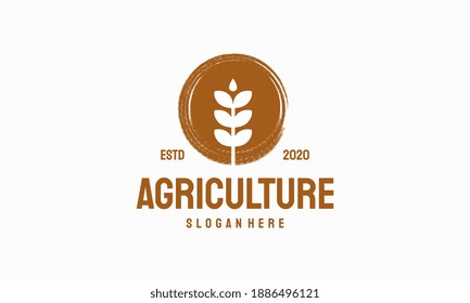 Luxury Grain wheat logo concept, Agriculture wheat Logo Template vector icon with abstract brush circle