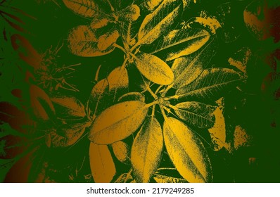 Luxury green, golden metal gradient background with distressed closeup leaf texture with streaks. Vector illustration