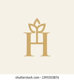 Luxury H Logo - Vector logo template