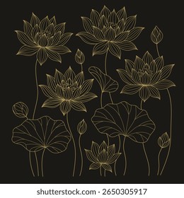 Luxury Indian Lotus Flower Art with Gold Floral Abstract Line Design for Elegant Background.