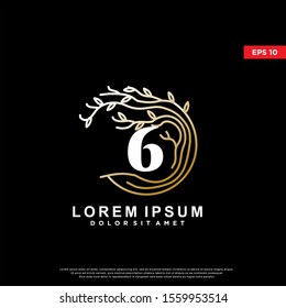 luxury initial number 6 rooted tree logo. modern icon, template design