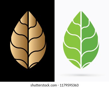  Luxury Leaf illustration graphic vector