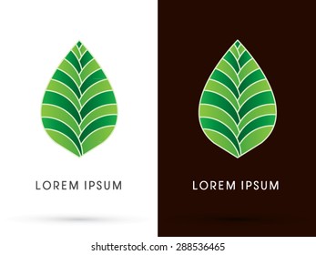 Luxury Leaf, lotus shape, graphic, vector.