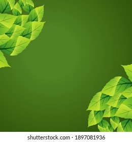 luxury leaves on a blank green nature background the concept of showcase stage, products, nature, perfume, sales promotion, banners, presentations, cosmetics.