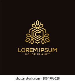 luxury letter c logo template vector illustration