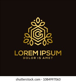 luxury letter G logo template vector illustration