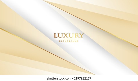 Luxury light abstract background combine with golden lines element.