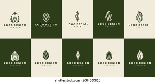 Luxury line leaf logo design. Line art nature logo. Leaf logo set.