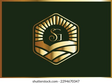 Luxury logo. Original vector illustration . SG or GS letter logo.