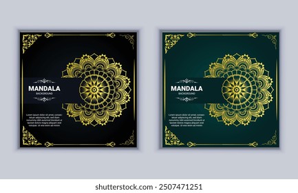luxury mandala  design vector template